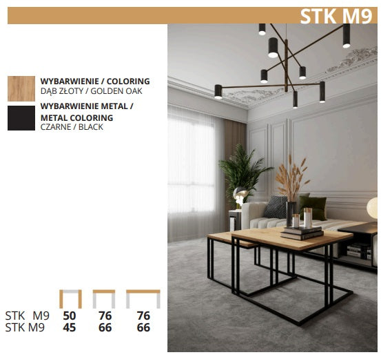 Mesa de Centro STK M9