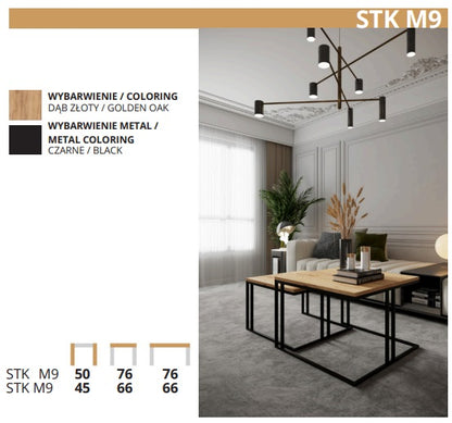 Mesa de Centro STK M9