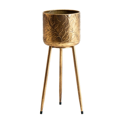 Angon Gold Iron Flower Pot, 22X23X55Cm